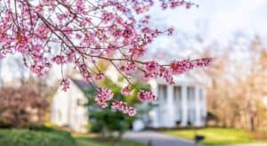 This Spring Presents Sellers with a Golden Opportunity 20220314-KCM-Share